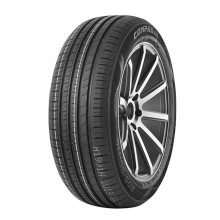 205/55 R16 Compasal Blazer HP 91V
