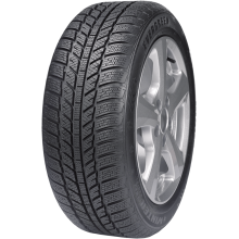 205/65 R16 Evergreen EW62 95H