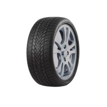 255/45 R19 Roadmarch WinterXPro 888 104H XL
