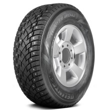 225/65 R17 Delinte Winter WD42 102T Ш