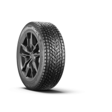 235/55 R20 Ikon Tyres Autograph Ice 10 SUV 102T Ш